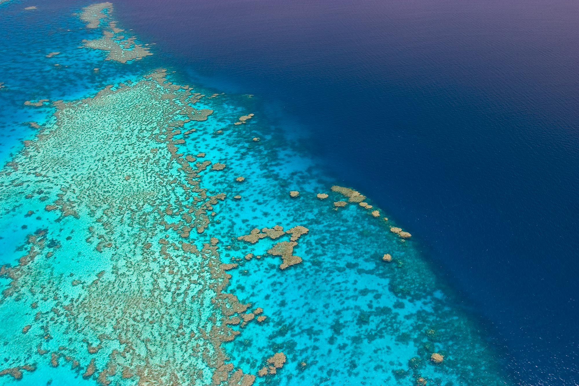 Тихого океан 9. Рифы Греат барьер. Great Barrier Reef Marine Park. Кэрнс (большой Барьерный риф). Большой Барьерный риф координаты.